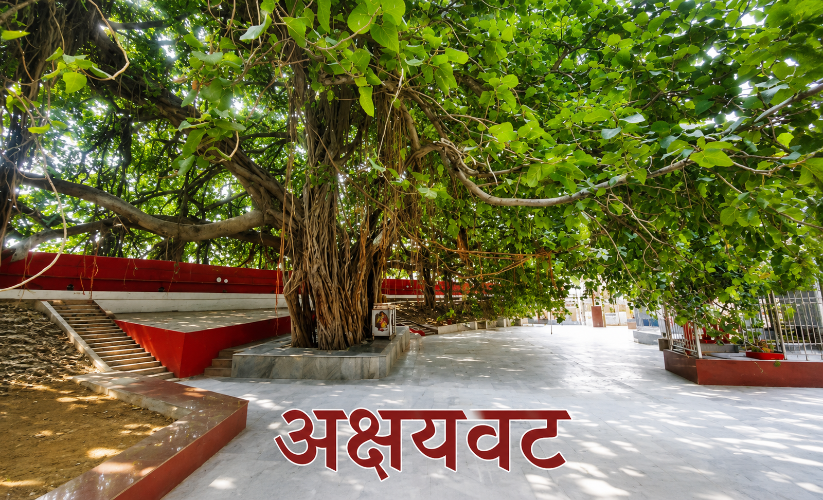 अक्षयवट